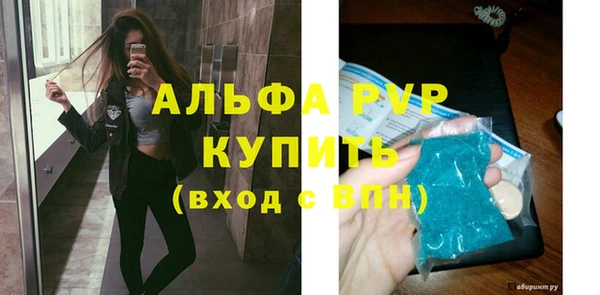 шишки Бородино