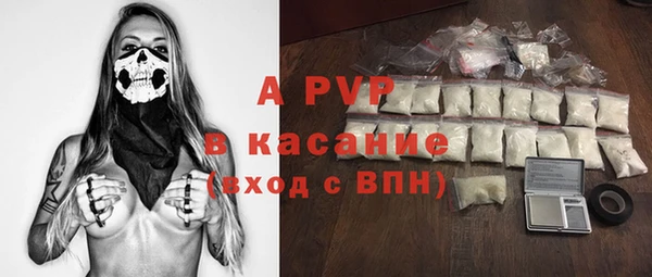 шишки Бородино