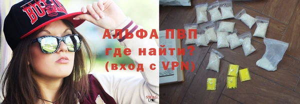шишки Бородино