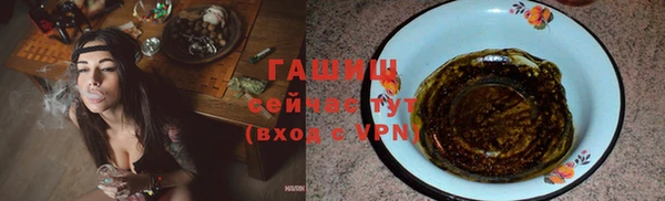 шишки Бородино