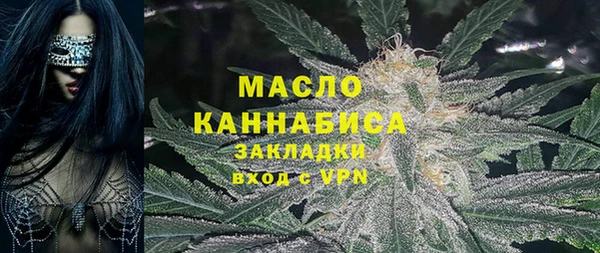 шишки Бородино