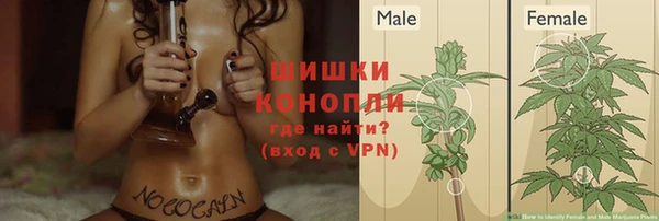 гашик Бронницы