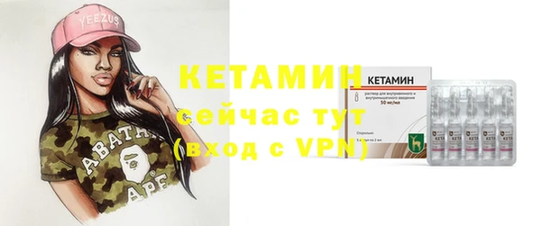 шишки Бородино