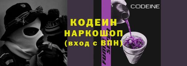 шишки Бородино