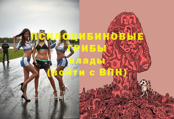 молекула духа Бугульма