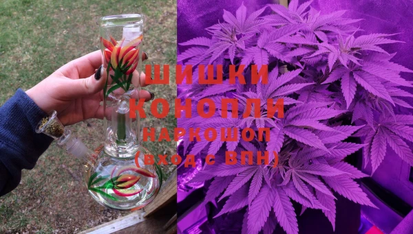 молекула духа Бугульма