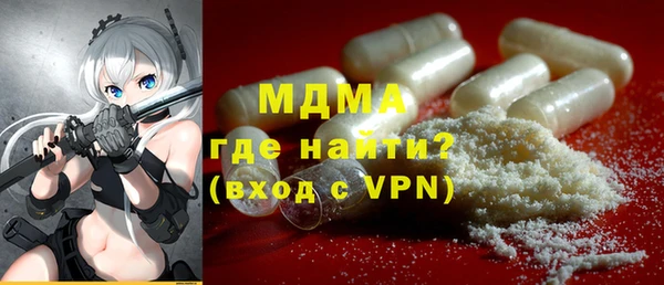 шишки Бородино