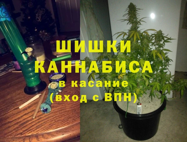 гашик Бронницы