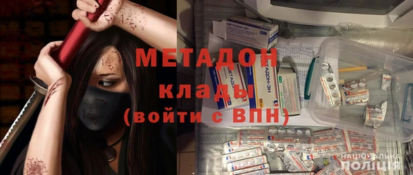 шишки Бородино