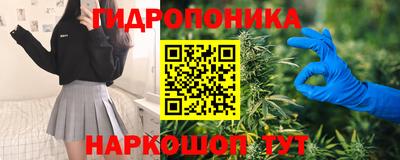 jwh Гай