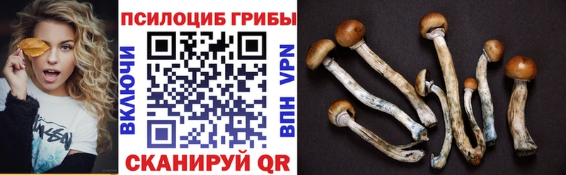 darknet телеграм  блэк спрут   Симферополь  Галлюциногенные грибы Magic Shrooms 