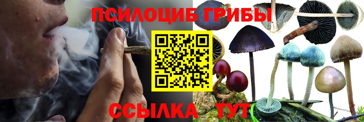 Псилоцибиновые грибы ЛСД  Вход с VPN  Симферополь 